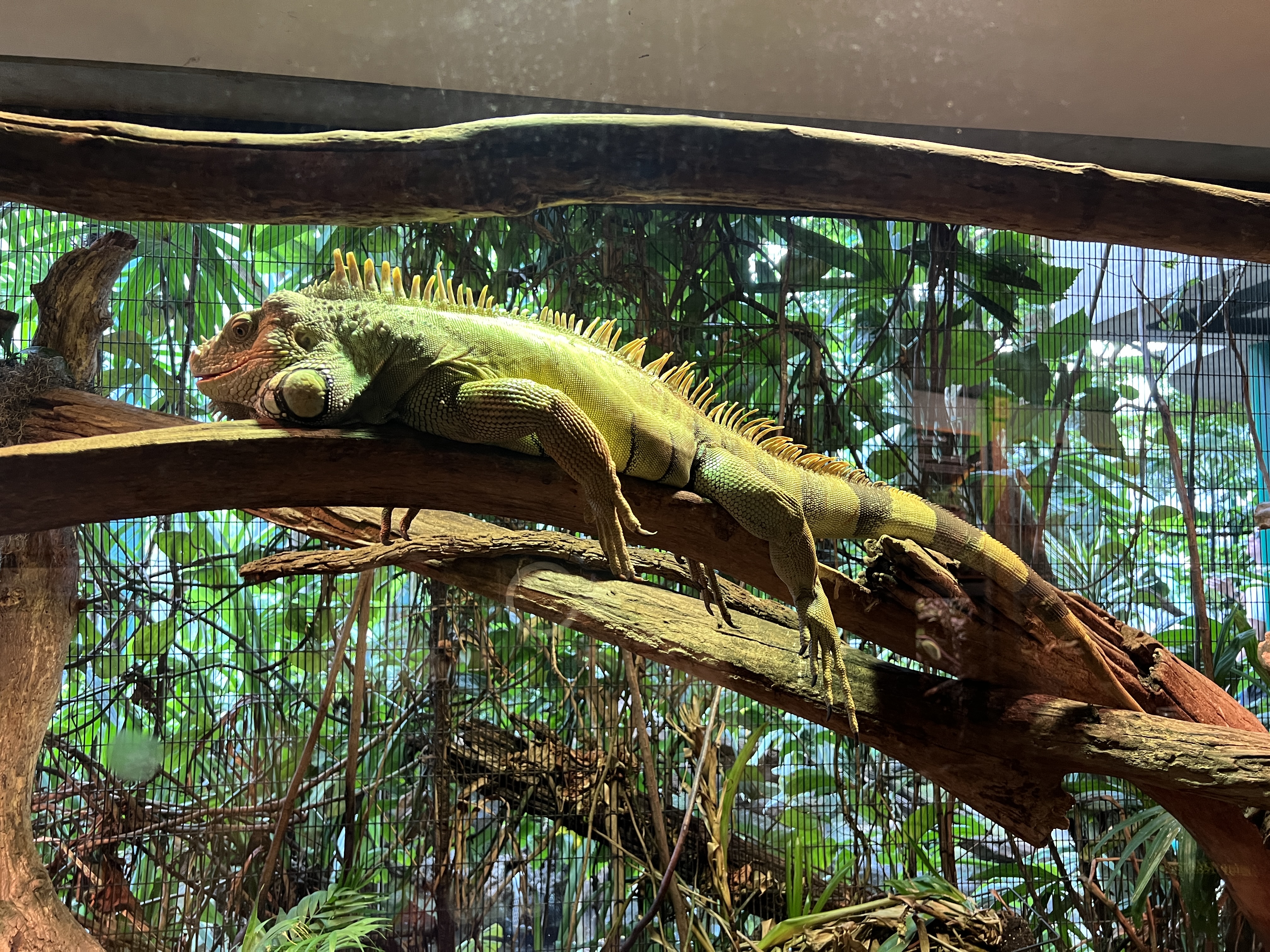 ./2025/11 - Nashville Trip/IMG_7106.JPG